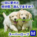 犬用 おもちゃ 噛む 玩具 犬ロープ おもちゃ スーパー ロープ Mサイズ 歯磨き ペット用 犬おもちゃ オモチャ 小型犬 中型犬 大型犬 丈夫 コットン100% ストレス解消 運動不足 耐久性 清潔 紐 スクィーカー 鳴り笛