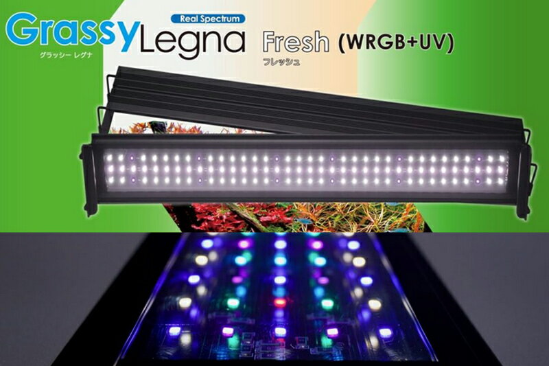 【照明器具】【LED照明】【ボルクスジャパン】 GrassyLegna 90 Fresh / WRGBV