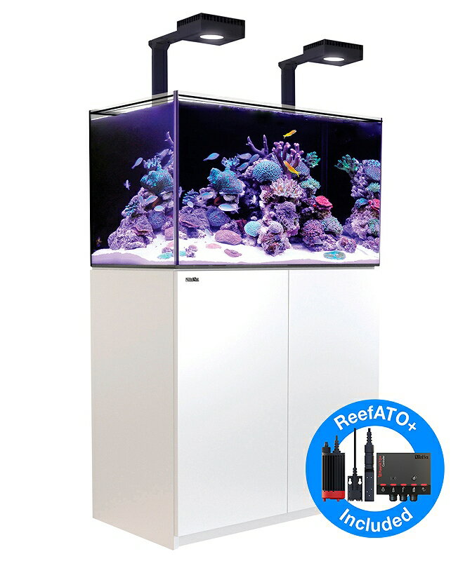 【飼育用品・器具】【大型商品送料別途】【お取り寄せ】【Red Sea】　Reefer G2＋DX 250 ホワイト