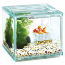 【飼育用品・器具】【セット水槽】金魚元気ぶくぶくクリア 200CUBE(淡水、海水)