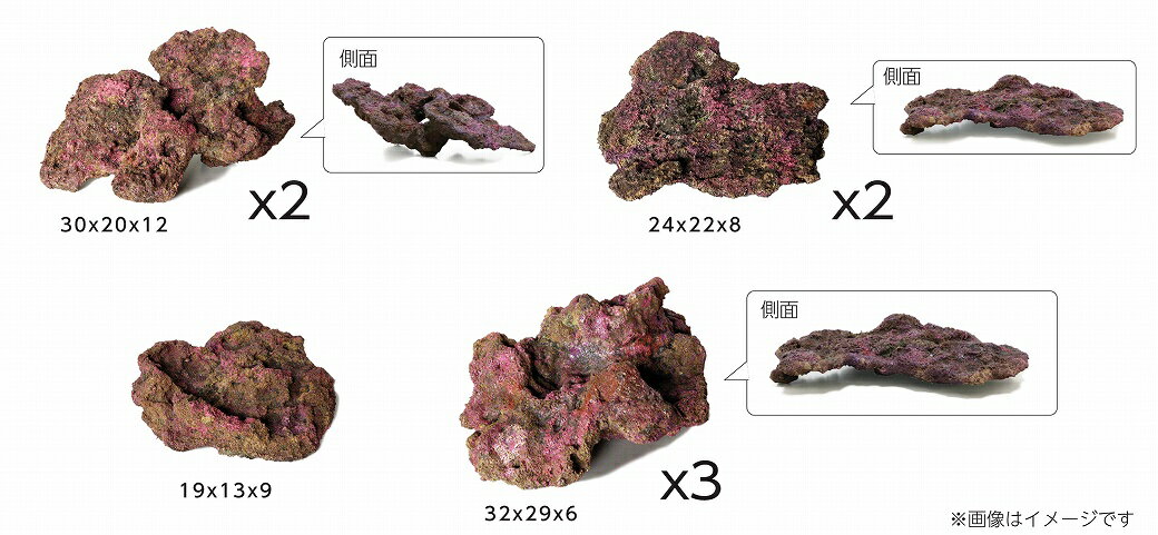 バクテリアがつけばもうライブロック　レイアウトしやすいリアルな形状　色　質感重量約7Kgのセット販売です色の違い　配達時の割れや欠けが生じる場合がございますが製品の特性上裂けられないものです保証対象外返品交換不可本製品とプロテインスキマーを併用すると使用開始初期の段階で多少のオーバースキミングが発生することがありますハンドメイド製品の為均一ではありません±5％程度の誤差が生じる場合がございますお届けに3日から7日かかります