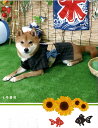 犬 着物 浴衣 夏陰　（なつかげ）【コンビニ受取対応商品】【メール便OK】