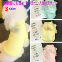 【決算セール 30%OFF】犬 服 Tシャツ ペット服 ペット雑貨 犬服 猫服 可愛い