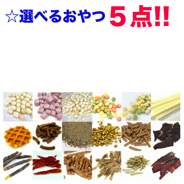 犬 おやつ ドッグフード 猫 おやつ 選べる5種類 無添加 安心安全 お試しセット 小型犬 中型犬 大型犬 送料無料 小袋 子犬 高齢犬