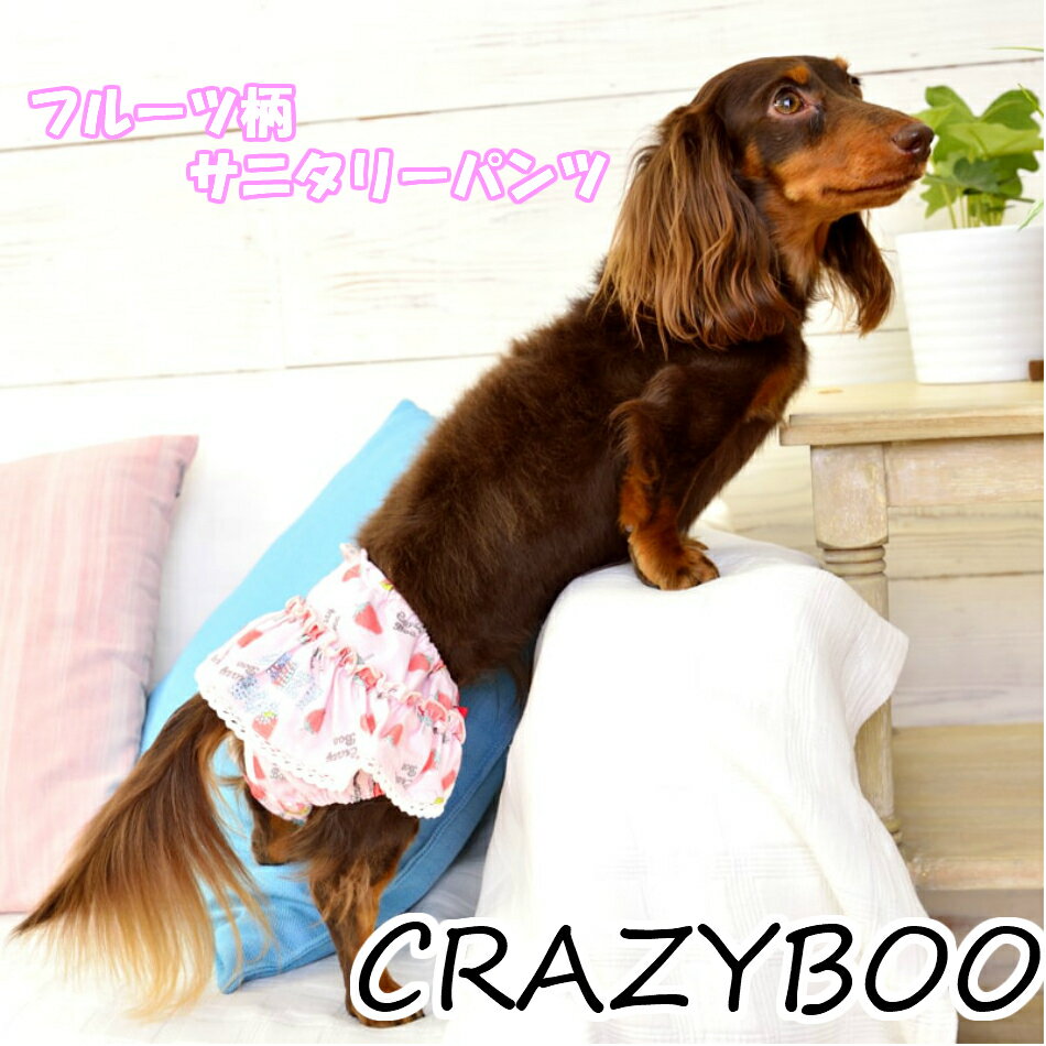 CRAZYBOO t[cTj^[pc@S~XLTCY@NCW[u[@Ȃ@@̕@hbOEFA@hbOt@bV@킢@@t@ā@2021V@o@Tj^[pc@}i[xg