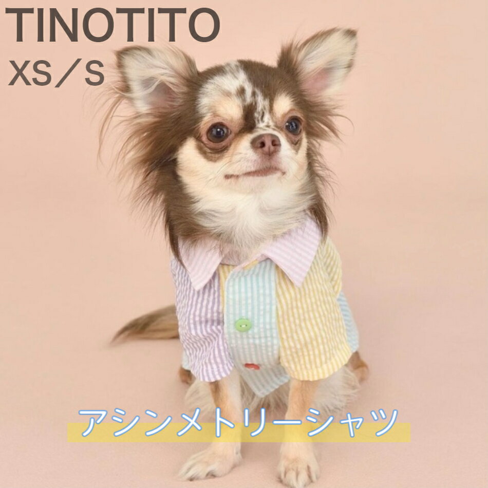 楽天pet chou chou【SALE】アシンメトリーシャツ　TINOTITO　XS・Sサイズ　ティノティート　袖あり　犬服　犬の服　ドッグウェア　ドッグファッション　かわいい　おしゃれ　春　夏　お出かけ　おもしろ　POP　おそろい