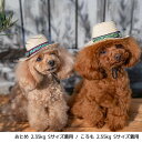 犬用帽子　チロリアン麦わら帽子　Solgra　ソルグラ　ペット用帽子　コスプレ　写真　チワワ　ヨーキー　パピヨン　わんちゃん用　犬用　小型犬　超小型犬　おしゃれ　かわいい　犬用キャップ　おでかけ　夏