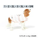 犬服 COOLINGボーダーポンチョ 1〜5号 ライフライク LIFELIKE 犬用ポンチョ おしゃれ かわいい 小型犬 チワワ 犬の服 ドッグウェア おでかけ 人気ブランド 春夏 おしゃれ ドッググッズ 犬 簡単 マジックテープ 暑さ対策 ひんやり 夏バテ対策