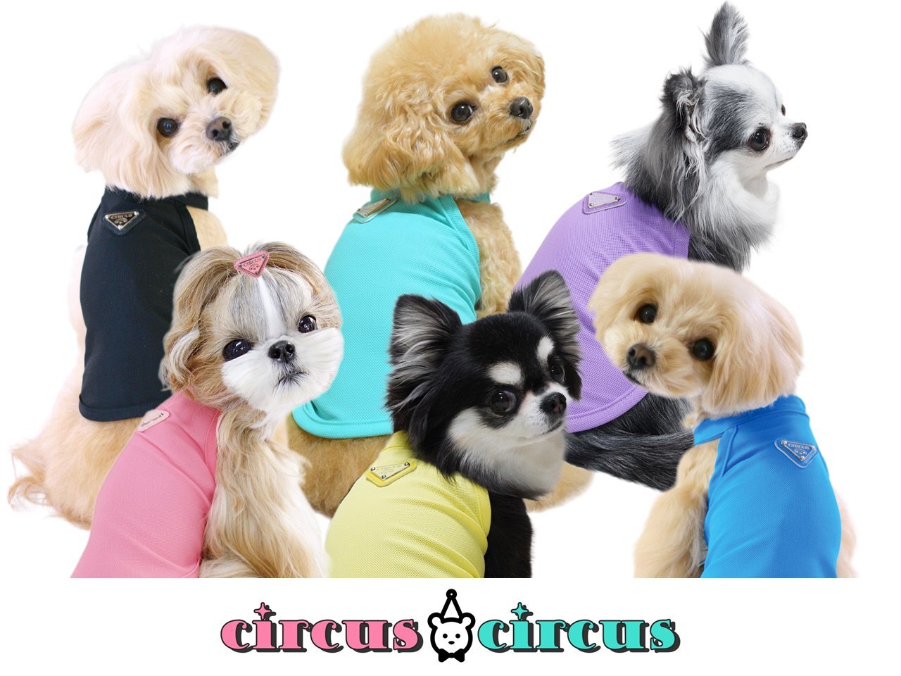 犬服　Chic Mesh ホルターネックタンク　M・Lサイズ　circuscircus 　サーカスサーカス　人気ブランド　トイプー　チワワ　お出かけ　カフェ　お洒落　かわいい　犬用品　お出かけ用品　犬グッズ　ドッグウェア　春夏　新作　タンクトップ　袖なし　フリル 2