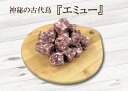 エミュー　冷凍生肉（加熱）200g高タンパク、低脂肪肉　ペット用ローフード その1