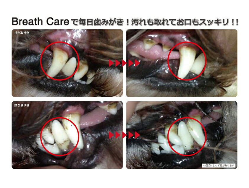 【公式】Pet-Cool(ペットクール)　Breath Care 50ml 2