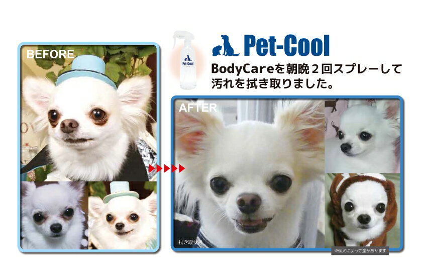 【公式】Pet-CoolBodyCareスプレー