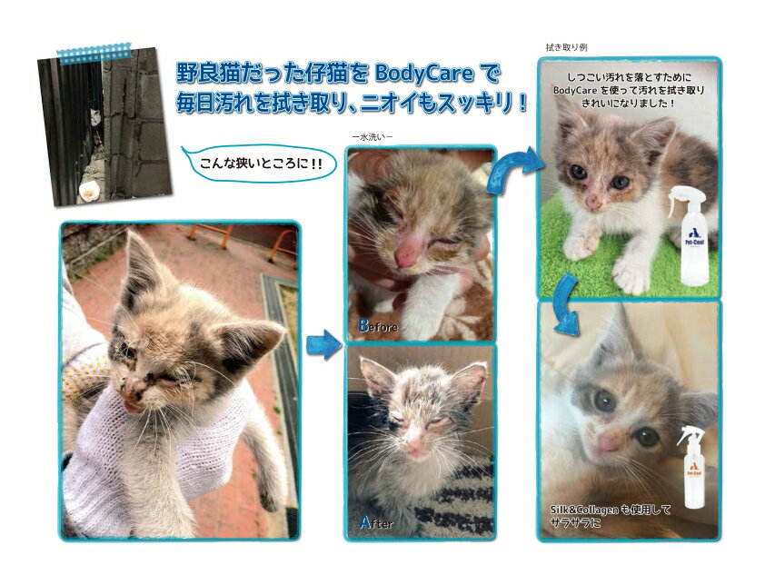 【公式】Pet-CoolBodyCareスプレー