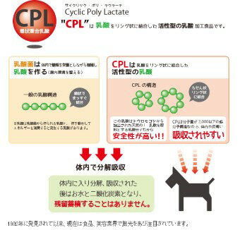 おいしく歯磨き 歯磨き苦手な子でも お口の汚れに オーラルケア Breathcare 60ml ペットクール Pet Cool ー品販売