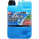 こっぱみじん 除草剤 シャワータイプ 2L レインボー薬品 適用面積約6~12坪 除草剤 シャワー