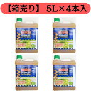 根まで枯らす除草剤 除草剤 グリホキング 5L ✕ 4本入 希釈タイプ グリホ 除草剤 グリホサート 41 農林水産省登録品 マレーシア産 一部農耕地でも使用でき 公園 庭園 駐車場 道路 運動場 宅地にも使用できる スギナ ササ類 竹類に効く