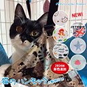 猫 ハンモック 2024年 春夏用【サラ