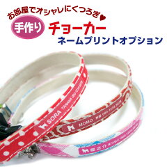 https://thumbnail.image.rakuten.co.jp/@0_mall/pet-gp/cabinet/choker/hirachoker-op6.jpg