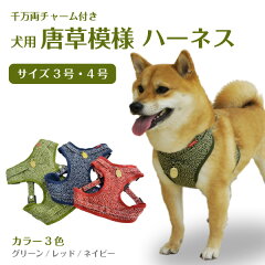 https://thumbnail.image.rakuten.co.jp/@0_mall/pet-gp/cabinet/collar/karakusa-h07-34.jpg