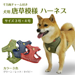 犬 ハーネス【千万両】チャーム付き 唐草 模様 ハーネス 単品【3号サイズ 4号サイズ】小型犬 小型犬用 犬用ハーネス 唐草模様 イヌ いぬ 犬用 ハーネス グリーン レッド ネイビー 小判 チャーム 千万両 チャーム 唐草柄 犬用 ハーネス チャーム付き 小・中型犬サイズ ペット