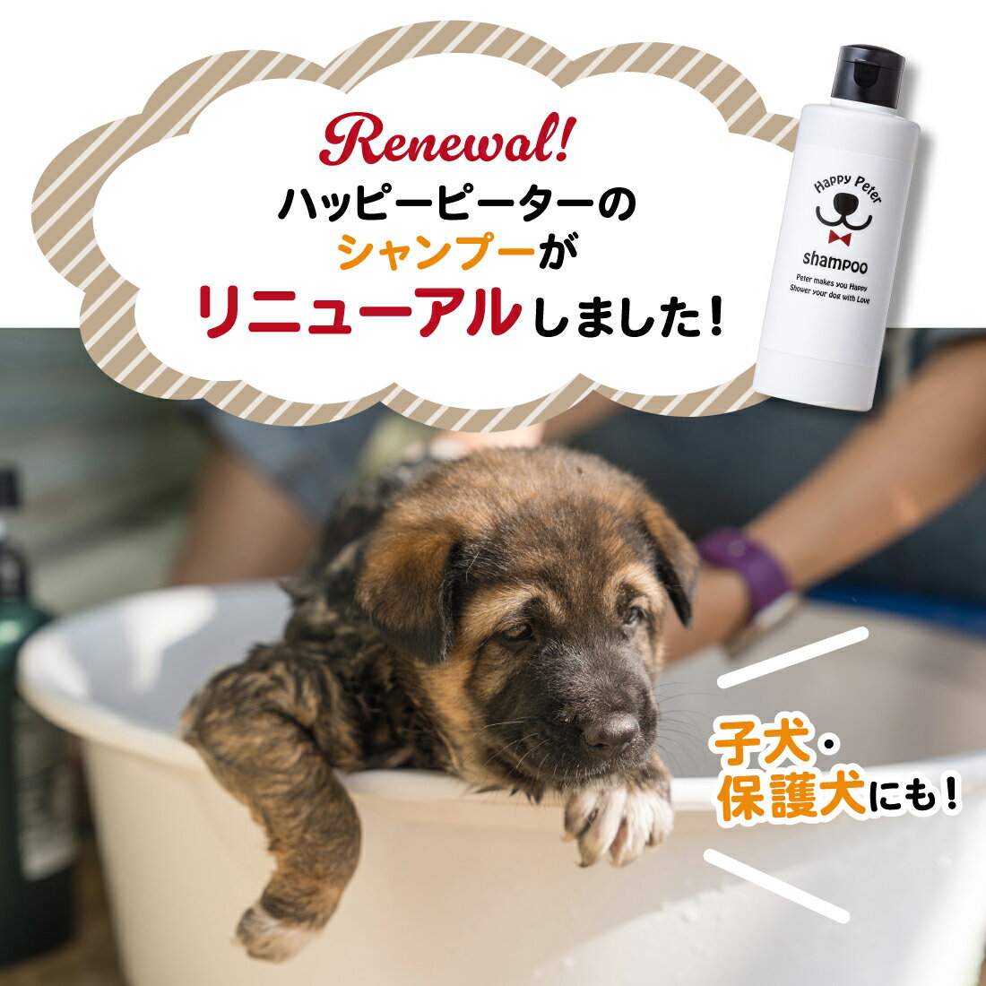 犬 コンディショナー《 ハッピーピーター 》使...の紹介画像2