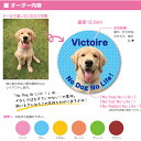 写真 ステッカー MYフォト ＜サークル ステッカー （直径125mm）＞ オリジナル No Dog No Life お名前入り ステッカー ノリ付き シールタイプ UVカット 屋外対応 車 ウィンドウガラス 写真 画像 名入れ 3