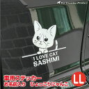 車用 猫 カッティングステッカー 【ひょっこり】 お名前入り 【LLサイズ(22×22cm)】 車 屋外対応 耐水 防水 耐候 犬 デザインステッカー