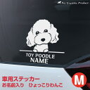 犬 ステッカー カッティングシート ＜ ひょっこり ＞ お名前入り 【 Mサイズ （14×14cm）】 車 屋外対応 耐水 防水 耐候 デザインステッカー トイプードル 柴犬 チワワ ダックス シュナウザー など