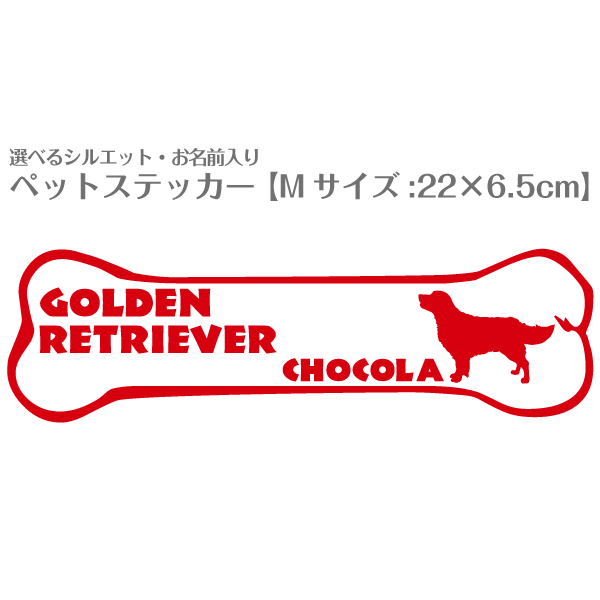ѥƥå ̾ 㥷륨åȡ  M226.5cmˡ  ǥNo.21 åƥ󥰥ƥå Ƹ ȥ...