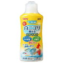 コロラインオフクリア300ml