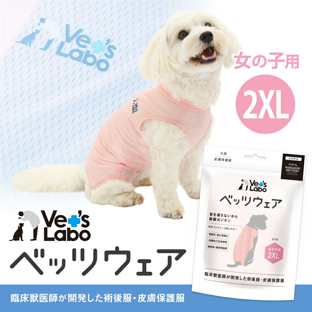 公式 犬用 ベッツウェア 女の子用 ピンク 2XL【Vet's Labo】犬用 皮膚保護服 術後服 術後衣 洋服 ウェア 速乾性 伸縮性 メッシュ素材 傷舐め 引っかき 抜け毛 防止 [F]