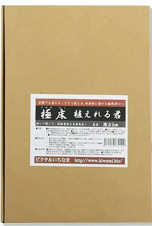 ★水際でも崩れることなく自由に植栽可能！★ ●吸水性能が良いので、高さのあるケージでも水を吸い上げてくれます。 ●壁として使用しても、十分な強度を持たせてあります。 ●カッターやスプーンで容易に切断や穴開けが可能。 ●ワイヤーを刺して、植物を固定することができます。 ●動物に有害な物を含んでいませんので、安心してご使用していただけます。 ●水を含むと黒くなる為、レイアウトになじみやすい作りになっています。 サイズ 幅29.7×奥行21×厚さ3cm 生産地 日本 メーカー ピクタ 注意事項 取り出す際に壊れないようお気をつけください。 生き物を入れる場合は一度水でさらしてからご使用ください。 そのまま使用しますとPH5程度の水質になります。