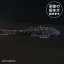 商品画像2