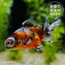 商品画像3