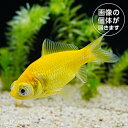 商品画像3