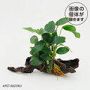 商品画像3