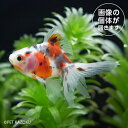 商品画像3