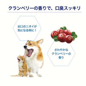 ベッツドクタースペック オーラルスプレー 80ml 【LION】 犬猫用 お口 ペット 口臭 ケア お手入れ 犬 猫