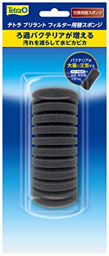 テトラ (Tetra) ブリラントフィルター 替スポンジ 【テトラ】スポンジフィルター 稚魚にやさしい 酸素供給 エアーポンプ式［K］