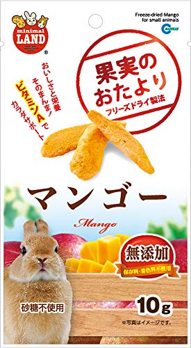 果実のおたより マンゴー 10g【マル