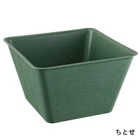 メダカの角小鉢全2色(ちとせ・わすみ)【スドー】水槽角鉢メダカめだかアクアリウム観賞魚飼育