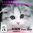 【2袋セット】60カプセル/袋NMN3000mg配合/袋 NMN純度99%以上 国内製造原料使用 国内GMP認定工場製造犬猫用健康補助食品ペットサプリ ペットNMN 犬用サプリ 猫用サプリ 犬用NMN 猫用NMN