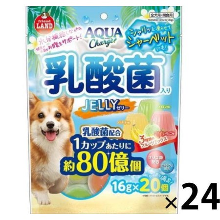 ★訳あり在庫処分特価 マルカン アクアチャージ乳酸菌入りゼリー 16g×20個 DA-387 (賞味 ...