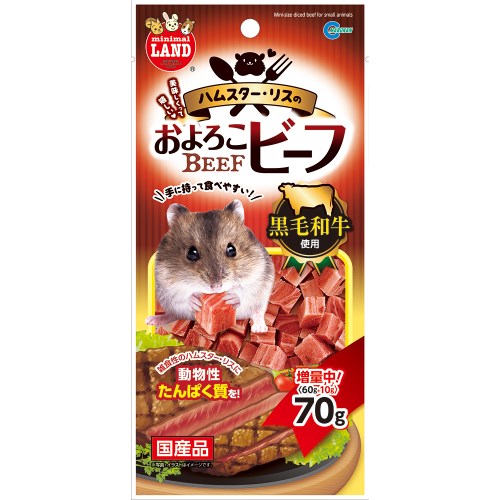 ★訳あり在庫処分特価 マルカン ハ