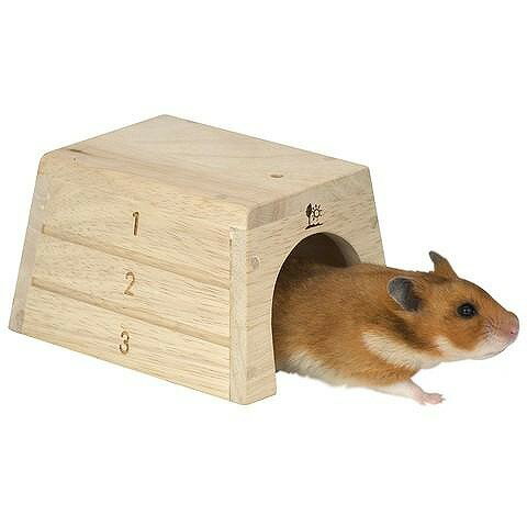 ★訳あり在庫処分特価 三晃商会 SANKO とびばこハウス Sサイズ