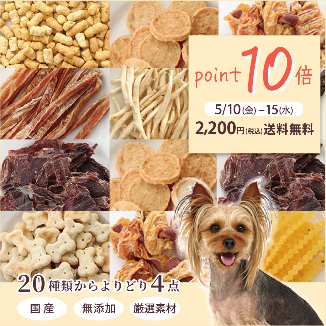 【ポイント10倍】【メール便送料無料】犬 おやつ フード 無添加 国産 猫 20種類から選べる 4個セット デリスタイル | お試し 福袋 オヤツ アソート 犬用おやつ 国産無添加 小分け おやつセット 詰め合わせ シニア 老犬 ギフト プレゼント 人気 ペットパラダイス