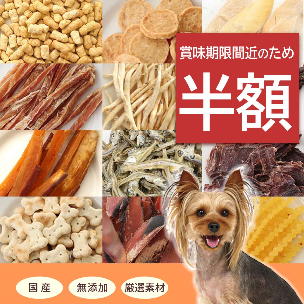 賞味期限近いため半額 犬 おやつ 無添加 国産 猫 ペットパラダイス デリスタイル | 期間限定 オヤツ フード 犬用 国産無添加 小分け