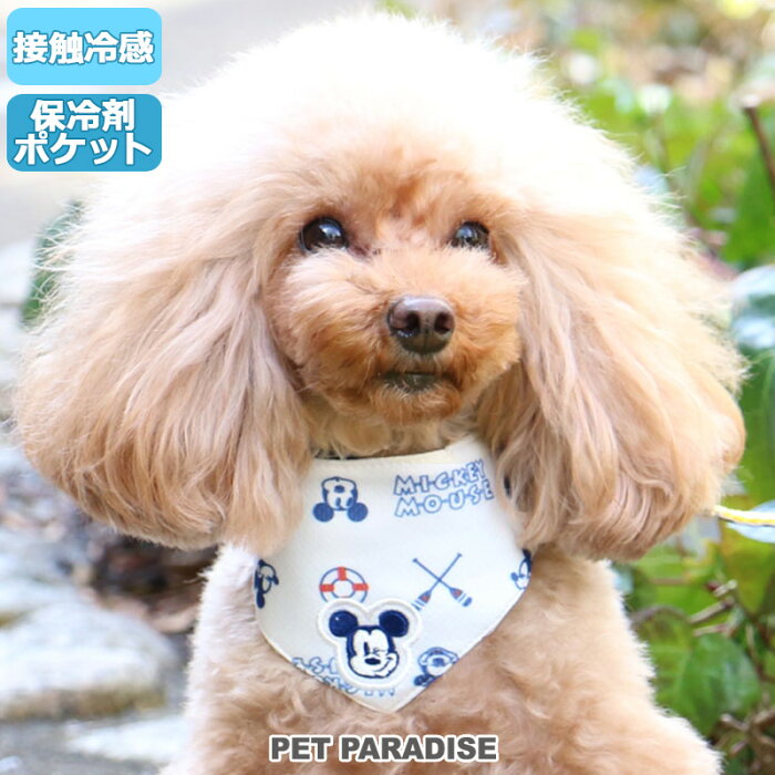 【300円OFFクーポン対象】犬 クールネック クール バンダナ ひんやり 夏 保冷剤付き ディズニー ミッキーマウス マリン柄 ネッククーラー 【小型犬】 | 首元 ひんやり バンダナ ひんやり 涼感 冷却 吸水速乾 キャラクター メール便可