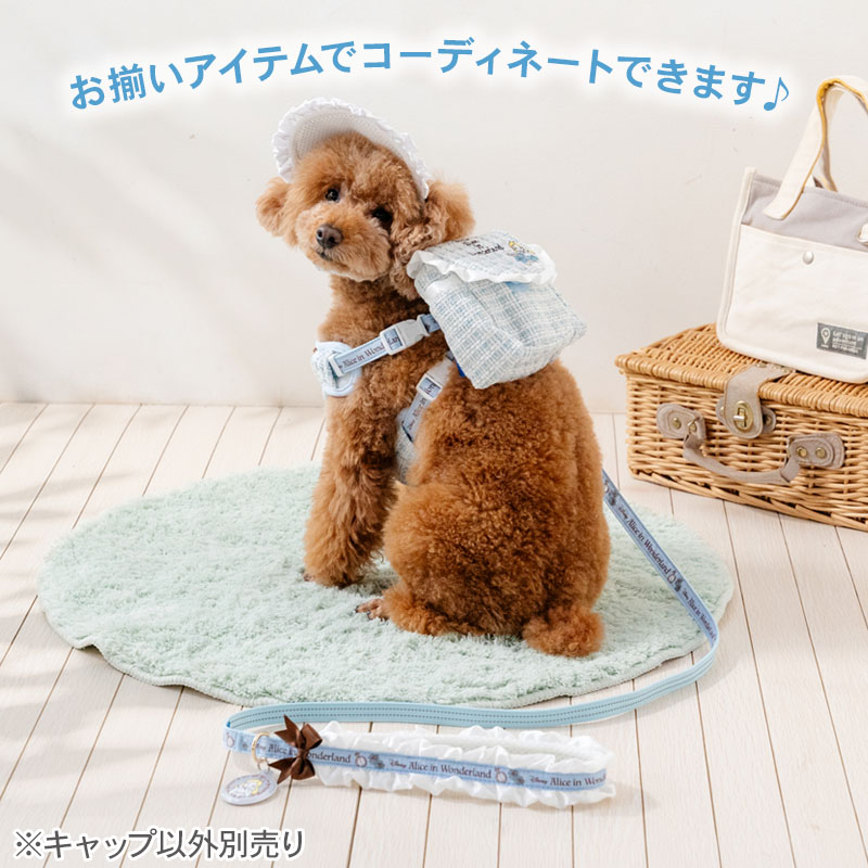 【最大2000円OFFクーポン】ペットパラダイス公式 犬 帽子 夏 ディズニー 不思議の...