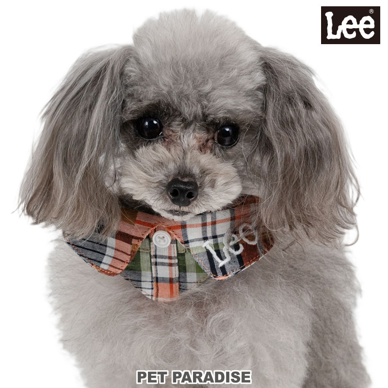 樂天商城 - 【最大2000円OFFクーポン】【P5倍】Lee 犬 首輪 チェック 襟付き 2Way 小型犬 3S〜S | 取り外し 可能 おしゃれ かわいい かっこいい